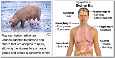 Flu Babi atau Swine Flu